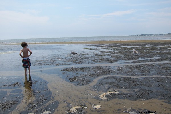 Cape Cod Family Adventure: Provincetown Fun with Kids, Clams & Beaches