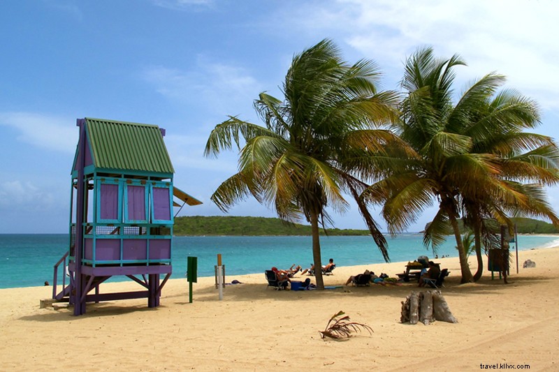 Vieques A-Z: Puerto Rico s Ultimate Island Escape Beyond the Beaches