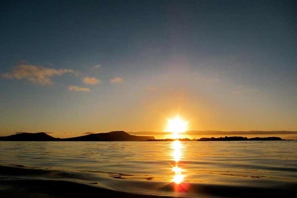 Immerse Yourself in Galapagos Wildlife: Swim with Sea Lions, Meet Turtles & Boobies