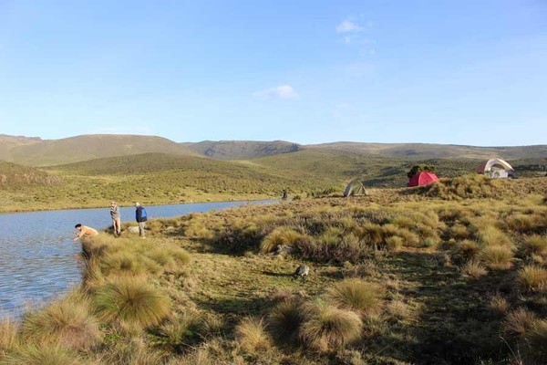 Untamed Romance: Love and Adventure in Kenya s Wild Bush