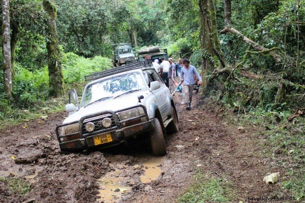 Untamed Romance: Love and Adventure in Kenya s Wild Bush