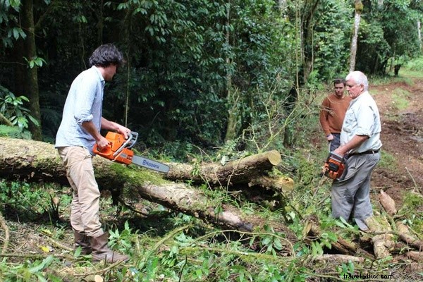 Untamed Romance: Love and Adventure in Kenya s Wild Bush