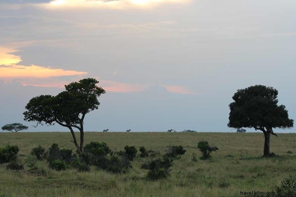 Untamed Romance: Love and Adventure in Kenya s Wild Bush