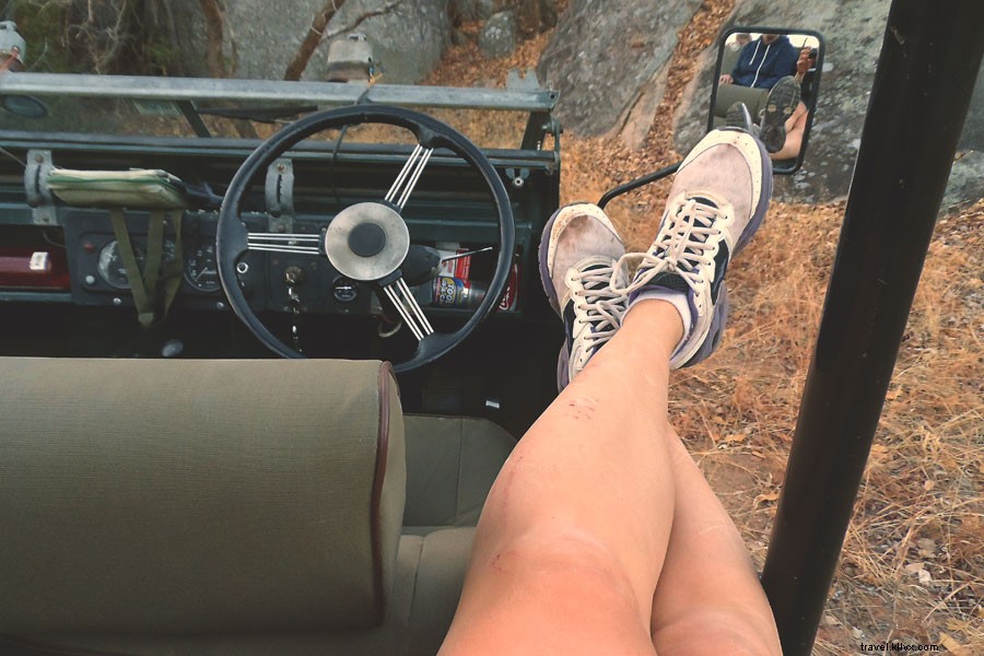 Unforgettable Safari Spring Break: Immersing in South Africa s Wild Bush