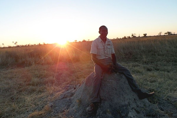 Unforgettable Safari Spring Break: Immersing in South Africa s Wild Bush