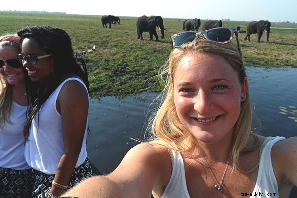 Unforgettable Safari Spring Break: Immersing in South Africa s Wild Bush