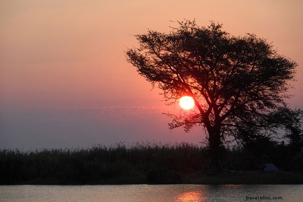 Unforgettable Safari Spring Break: Immersing in South Africa s Wild Bush