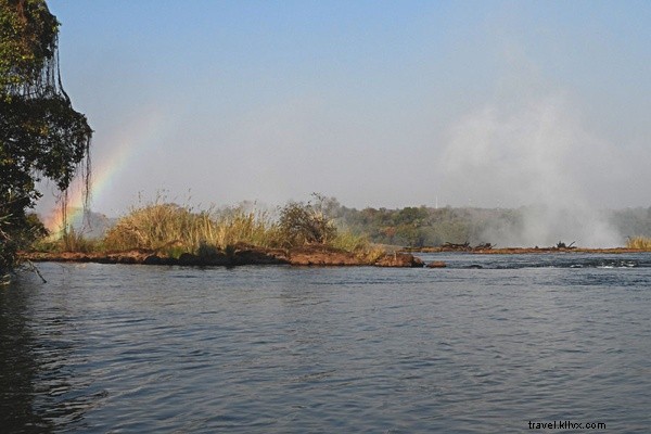 Unforgettable Safari Spring Break: Immersing in South Africa s Wild Bush