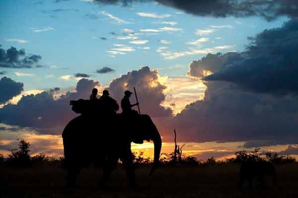 Africa s Best Safari Lodges: Luxury Wildlife Retreats Revealed