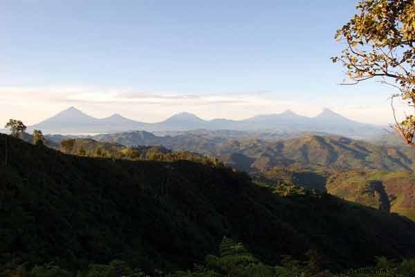 Africa s Best Safari Lodges: Luxury Wildlife Retreats Revealed