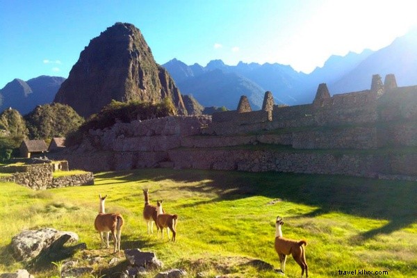 Breathtaking Views from the Top: My Machu Picchu Adventure in Peru