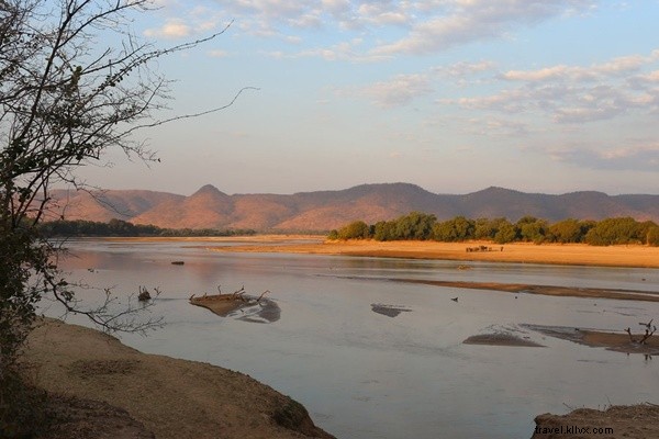 Epic Zambian Safari: Waking Up to Lions in the Wild Bush