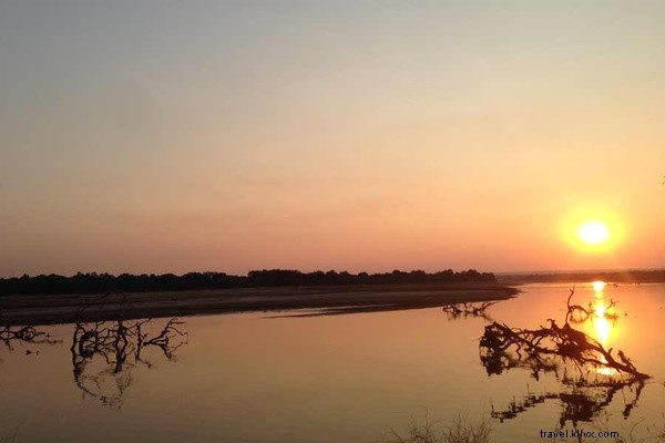 Epic Zambian Safari: Waking Up to Lions in the Wild Bush