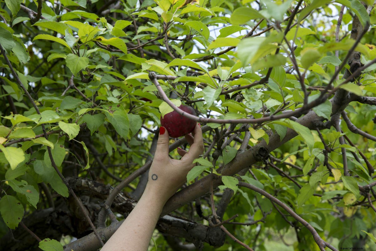 Hasbrouck House: Romantic All-Season Retreat in Hudson Valley