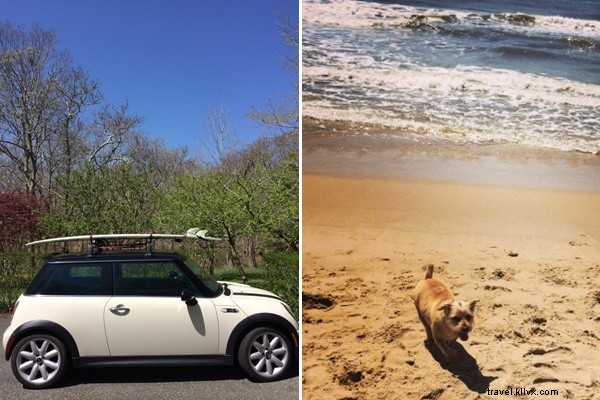 It s a Family Affair: Sundays in Amagansett with Pink Chicken Designer Stacey Fraser