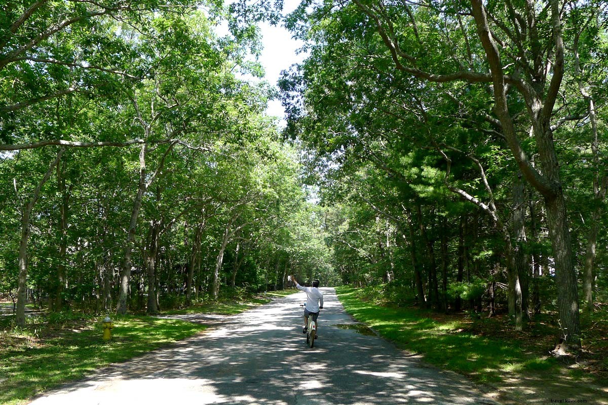 Discover Quogue: The Charming, Unpretentious Gem of the Hamptons