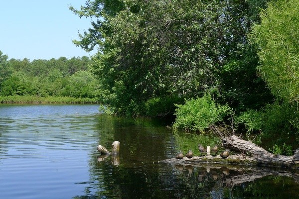 Discover Quogue: The Charming, Unpretentious Gem of the Hamptons