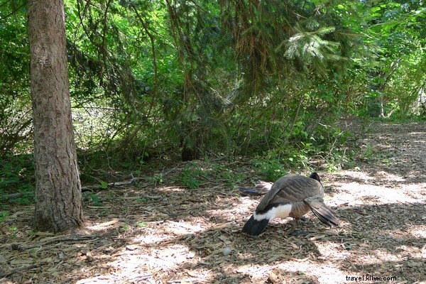 Discover Quogue: The Charming, Unpretentious Gem of the Hamptons