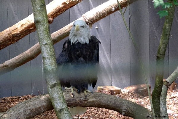 Discover Quogue: The Charming, Unpretentious Gem of the Hamptons