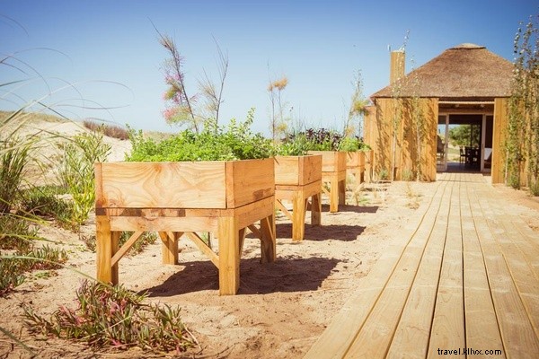 Ultimate Guide to a Perfect Beach Vacation in José Ignacio, Uruguay