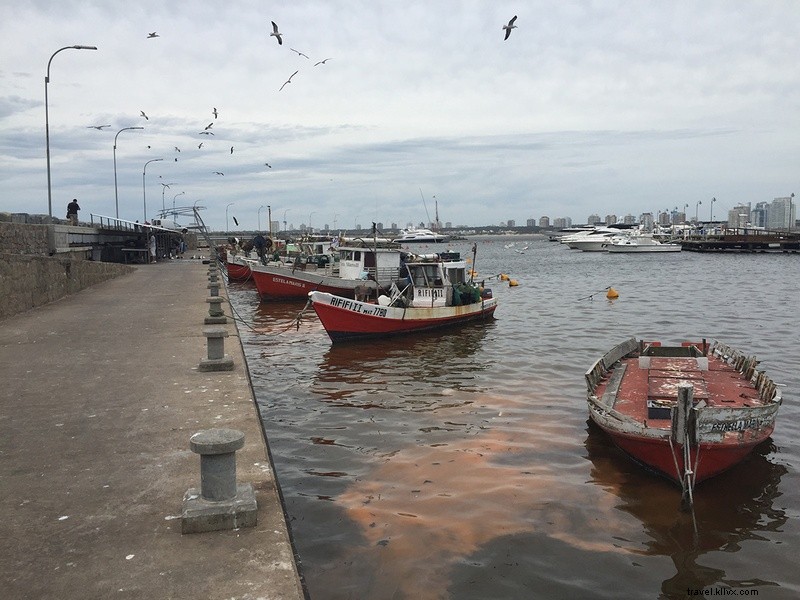 Discover an Unforgettable Day in Punta del Este: Uruguay s Hidden Beach Paradise