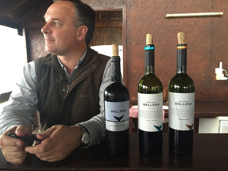 Discover an Unforgettable Day in Punta del Este: Uruguay s Hidden Beach Paradise