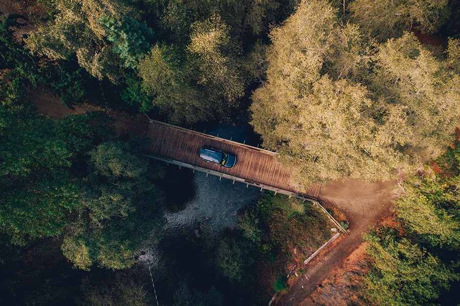 6 Eco-Friendly Ways to Green Your Next Road Trip