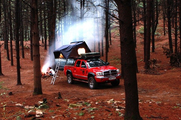 6 Eco-Friendly Ways to Green Your Next Road Trip