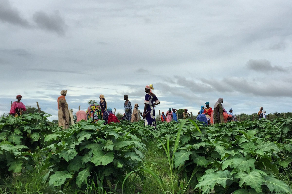 Vibrant First Impressions of Senegal: A Award-Winning Photographer s Dakar Journey