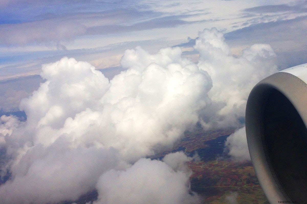 Tripping on Shrooms: A Mind-Bending Business Flight Journey