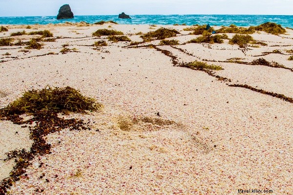 A Rowdy Gentleman s Weekend Adventure in Bermuda