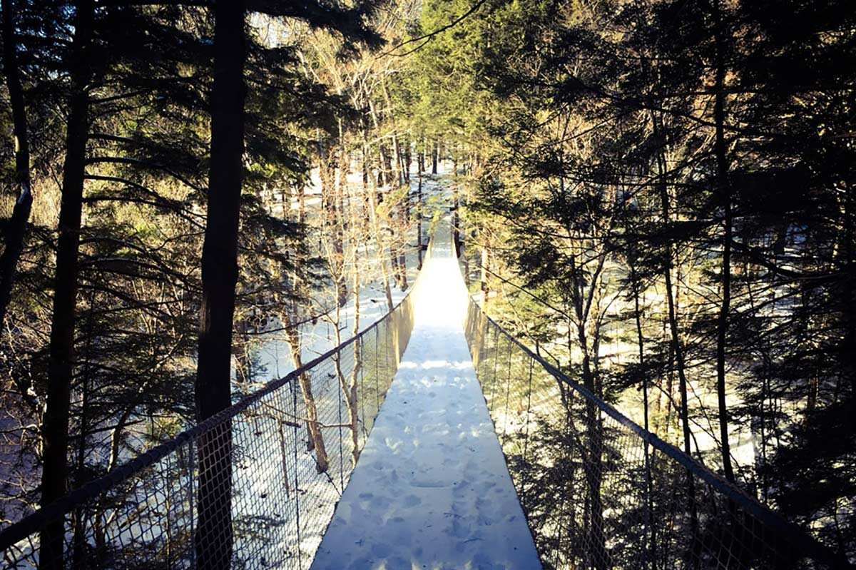 Ramblewild: Thrilling Treetop Adventures in Massachusetts  Sustainable Aerial Park