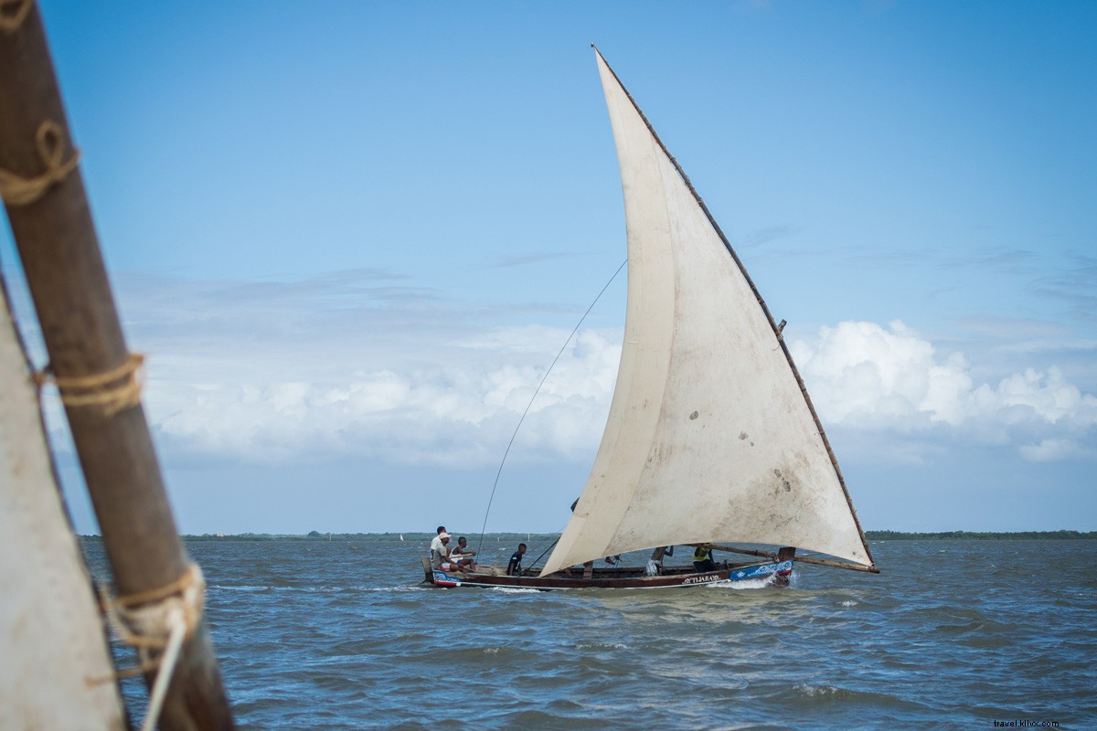Joyous Celebration on Kenya s Enchanting Lamu Island