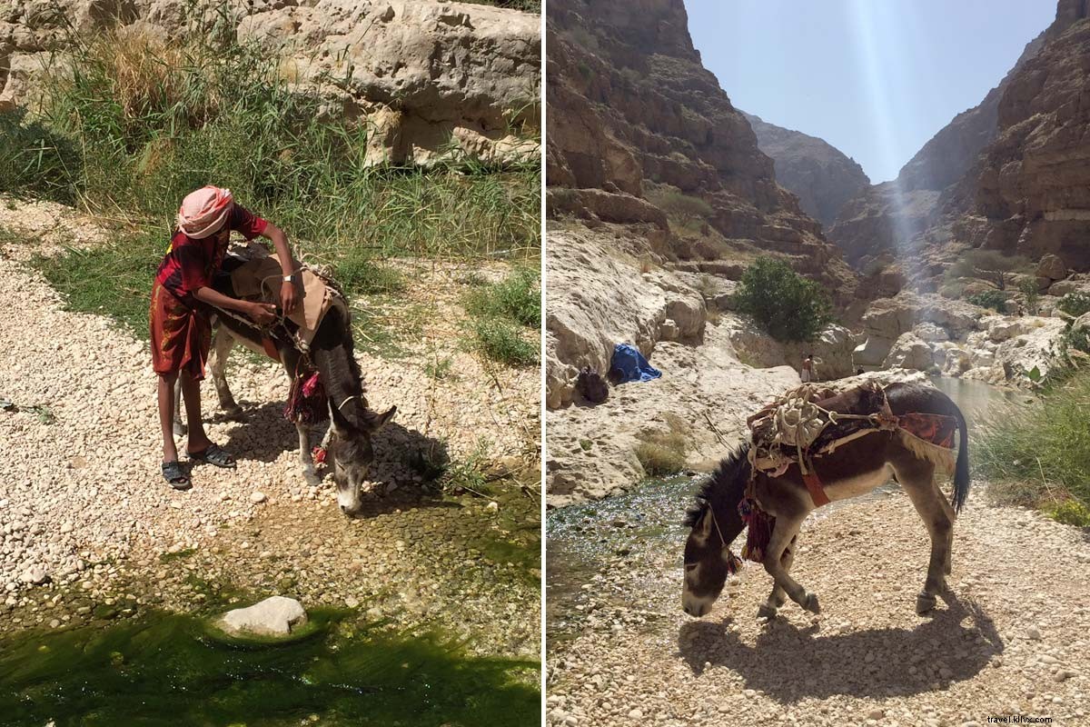 Wadi Shab Oman: Thrilling Swim Through Dead Ends – Unforgettable Adventure