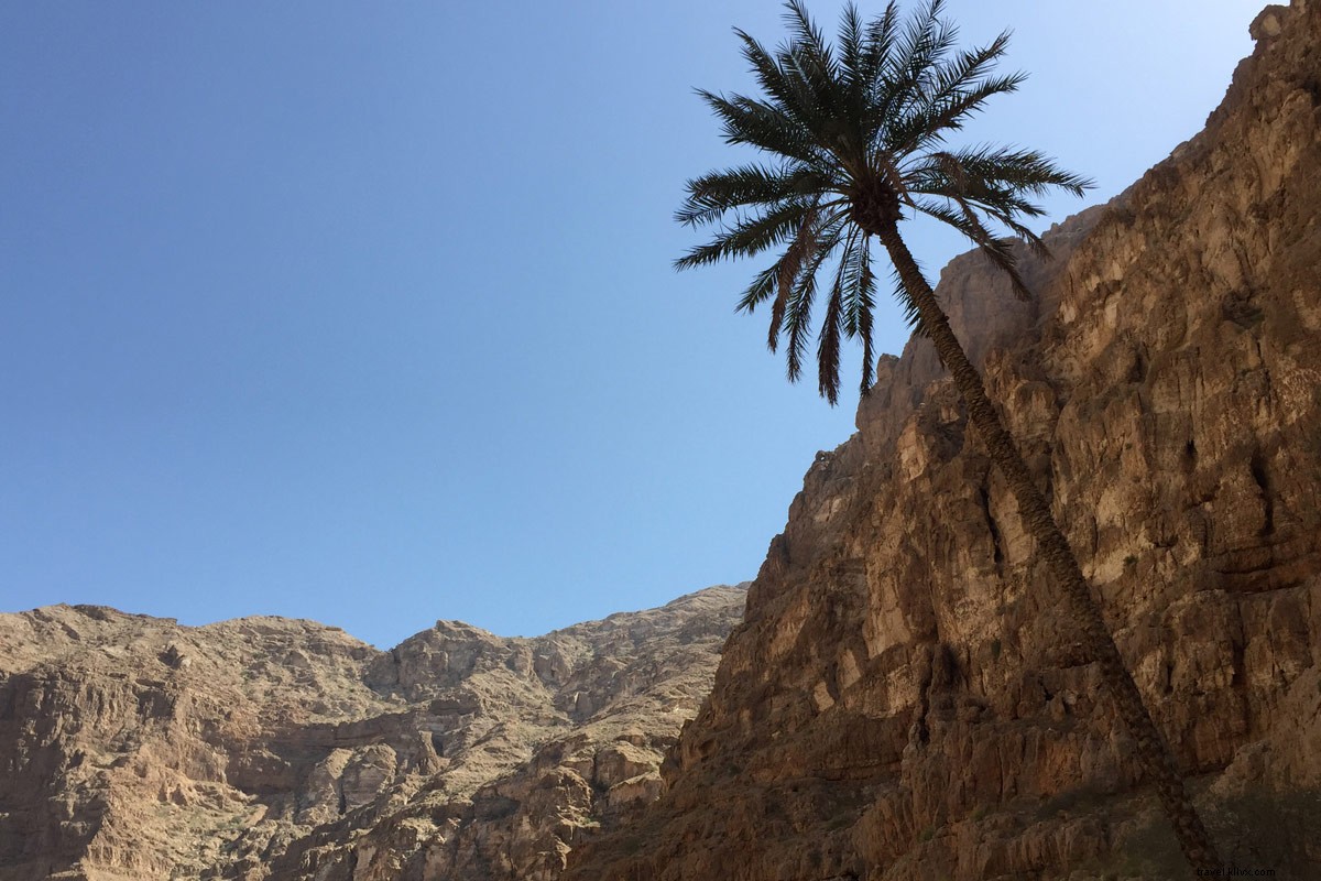 Wadi Shab Oman: Thrilling Swim Through Dead Ends – Unforgettable Adventure