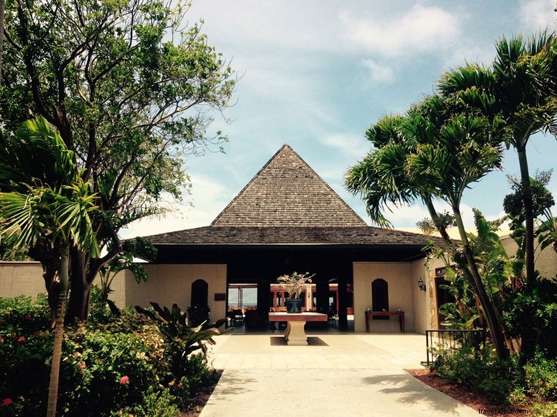 Braving Hurricanes at Deadman s Beach: Discovering Life on Peter Island, BVI