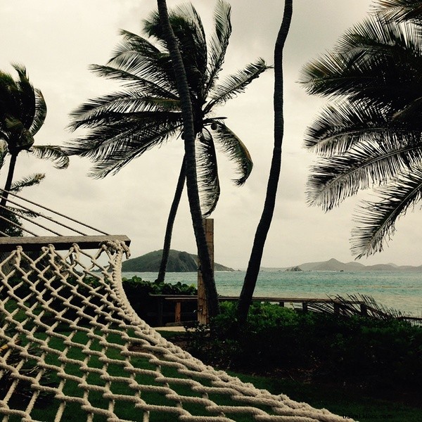 Braving Hurricanes at Deadman s Beach: Discovering Life on Peter Island, BVI