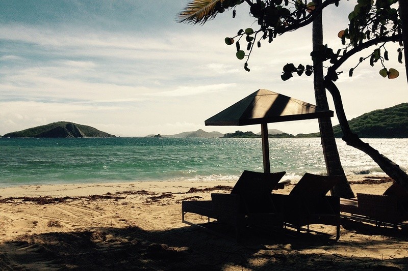 Braving Hurricanes at Deadman s Beach: Discovering Life on Peter Island, BVI