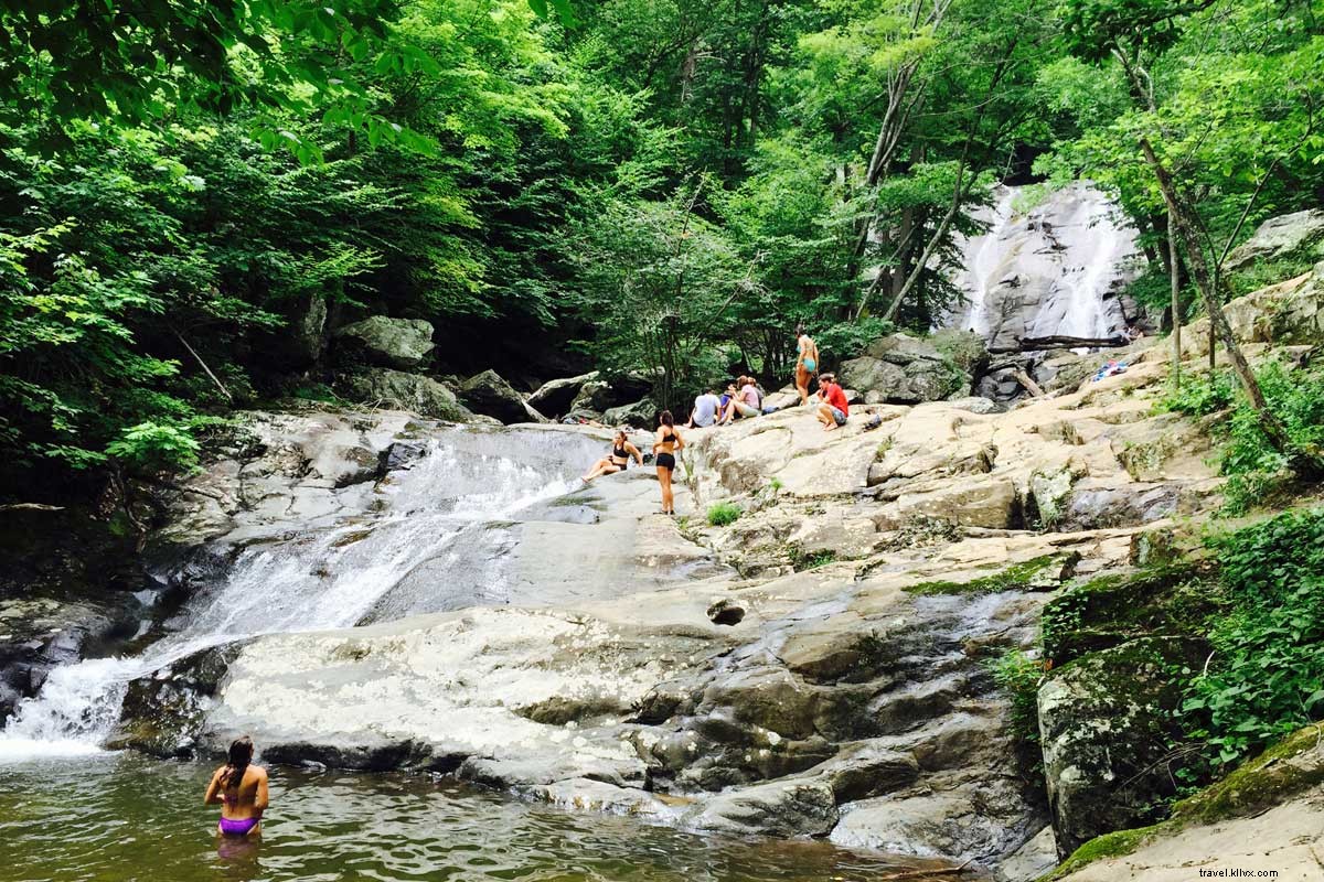 Escape to Shenandoah: Your Ultimate Weekend of Mountain Hikes and Scenic Trails