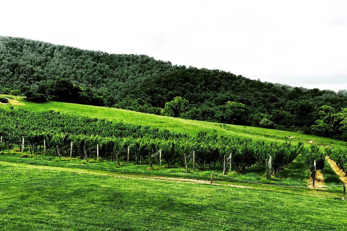 Escape to Shenandoah: Your Ultimate Weekend of Mountain Hikes and Scenic Trails