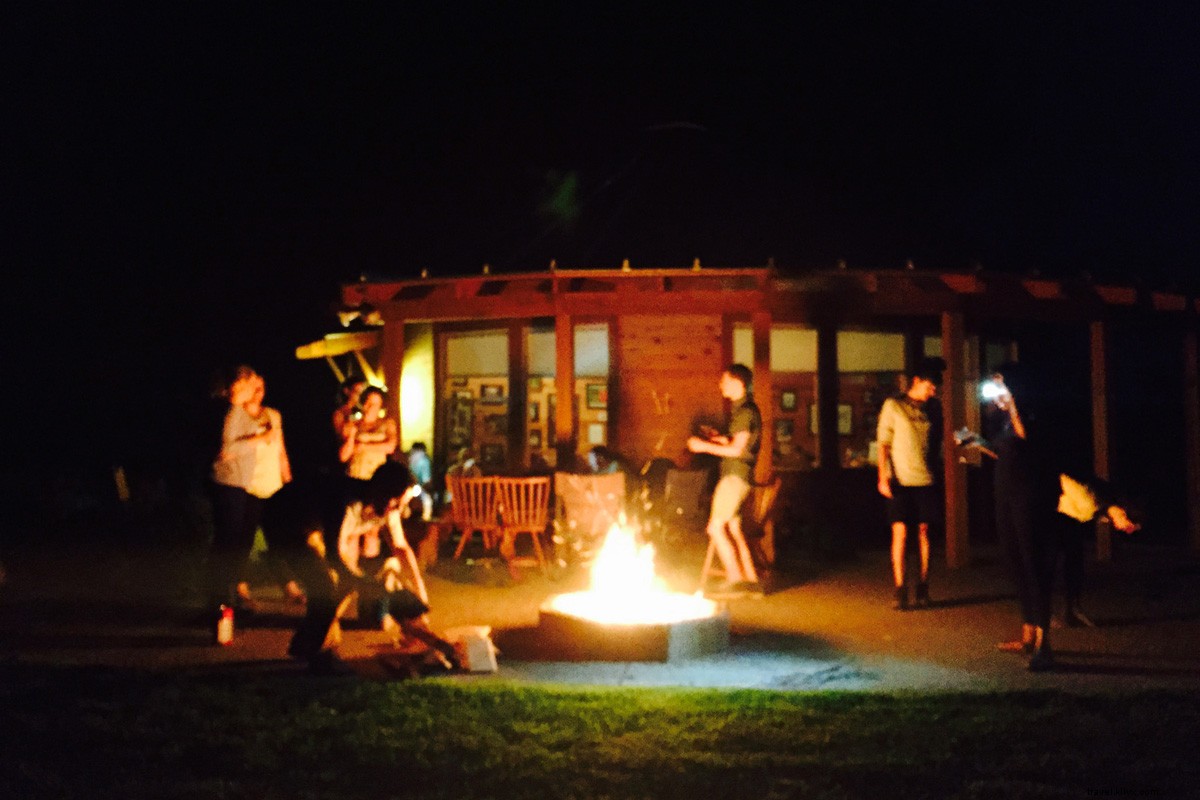 Escape to Shenandoah: Your Ultimate Weekend of Mountain Hikes and Scenic Trails