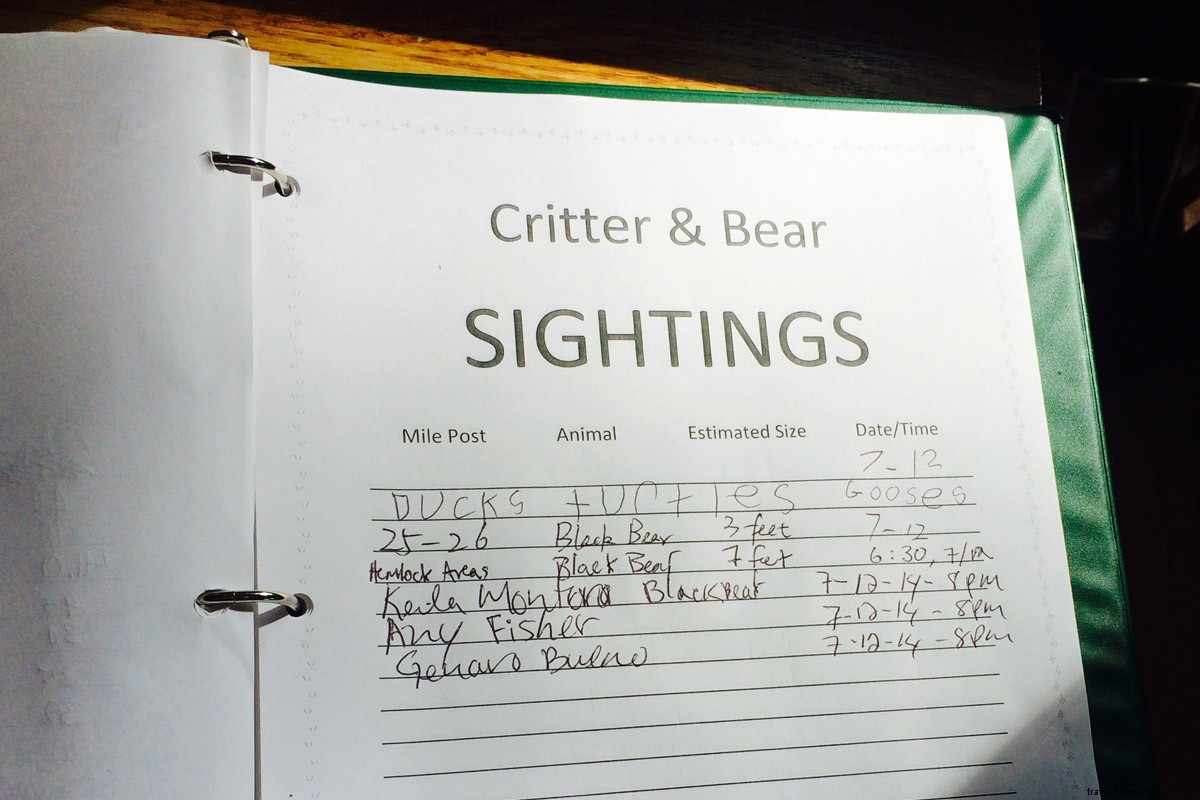 Escape to Shenandoah: Your Ultimate Weekend of Mountain Hikes and Scenic Trails