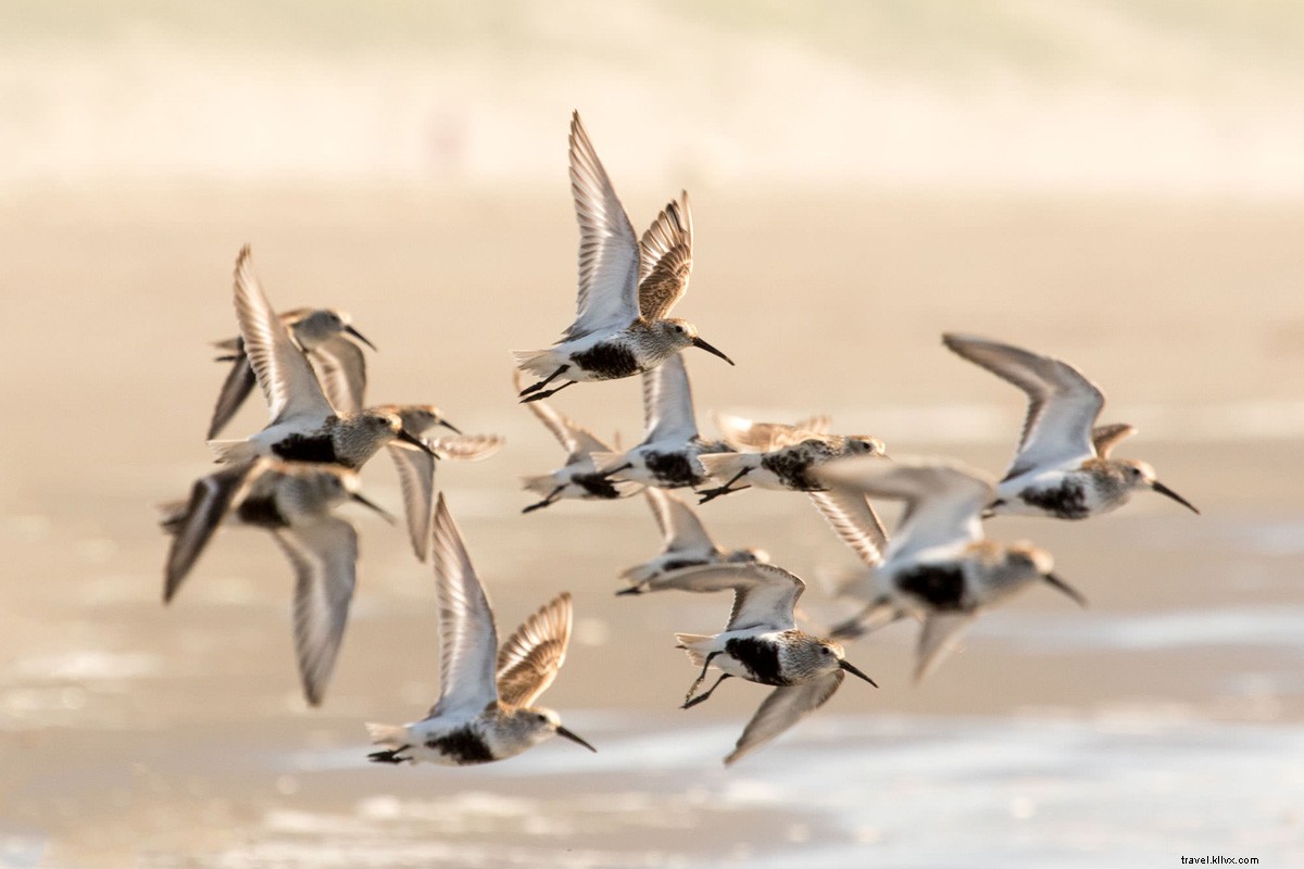 Ditch Bucket Lists: Craft an Epic Road Trip Closer to Home