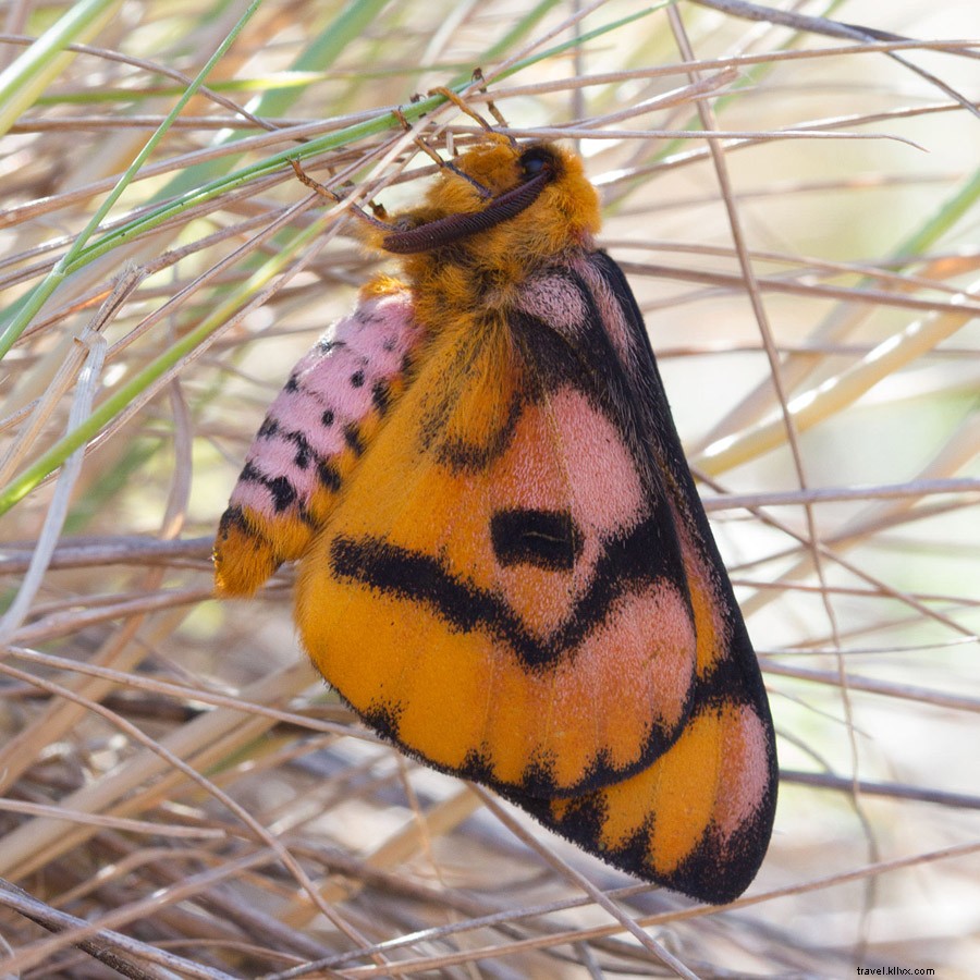 Ditch Bucket Lists: Craft an Epic Road Trip Closer to Home