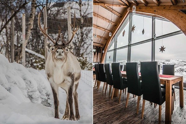 Embracing the Arctic Chill: Tablet Hotels CEO s Journey to Kirkenes, Norway
