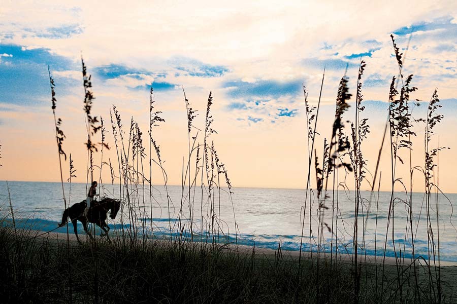 Endless Honeymoon Bliss: A Romantic Road Trip Along Georgia s Stunning Coast