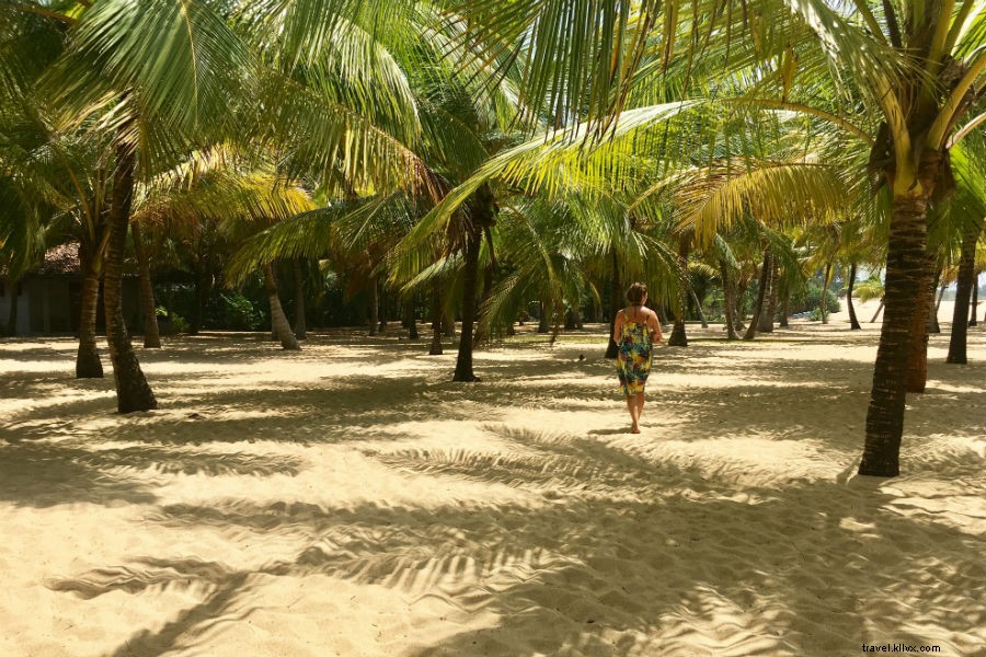 Sri Lanka Family Adventure: Two Parents, Three Toddlers, and Tuk-Tuk Thrills