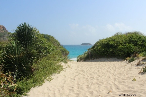 Why St. Barts Captures My Heart: Countless Reasons to Love This Caribbean Gem