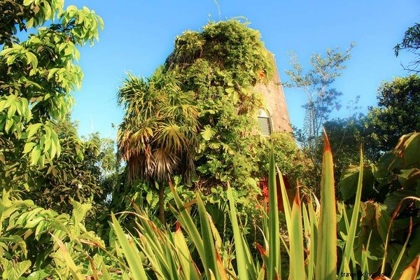 Escape to Nevis: Laid-Back Luxury in the West Indies – Insider Guide by Nneya Richards