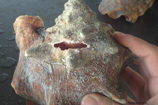 Luxury Redefined: Deep Water Cay, the Ultimate Private Island Escape in the Bahamas